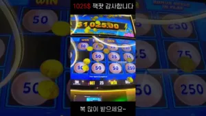 m-supercasino file 1353