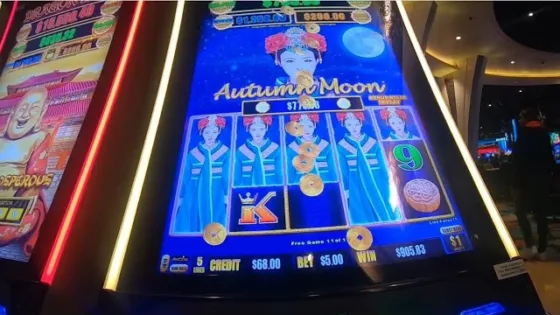 m-supercasino file 843